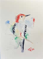 Woodpecker by Thomas Williams